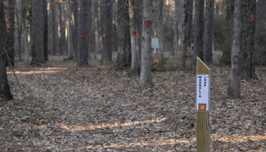North Toledo Bend State Park trail