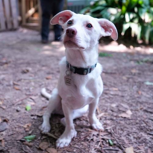 DSC01335.jpg (sponsored)