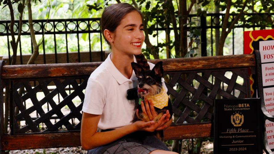 Charlotte still 4.jpg (sponsored)