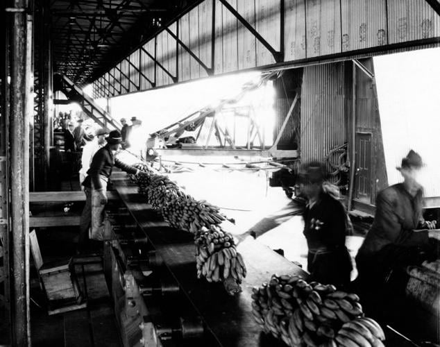 Banana Conveyor Belts on Wharf