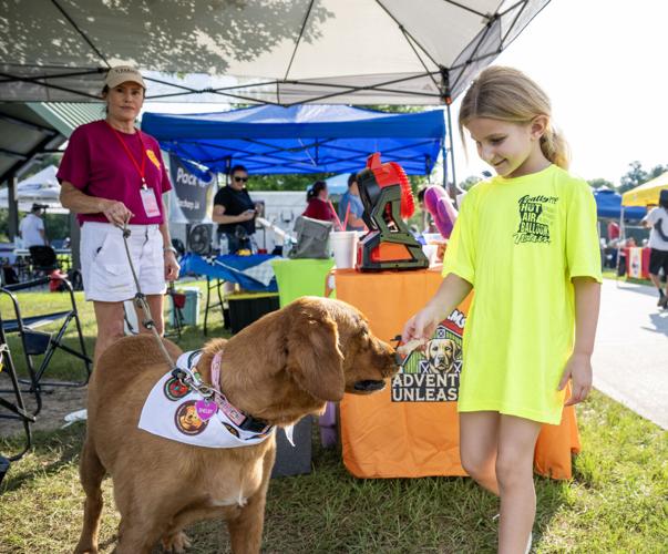 BR.hotballoonzac.081325_5080 MJ.JPG