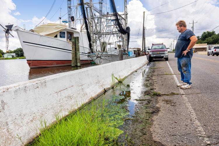 NO.goldenmeadow.081725_1070 copy.JPG