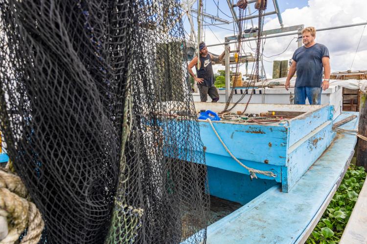 NO.goldenmeadow.081725_1072 copy.JPG