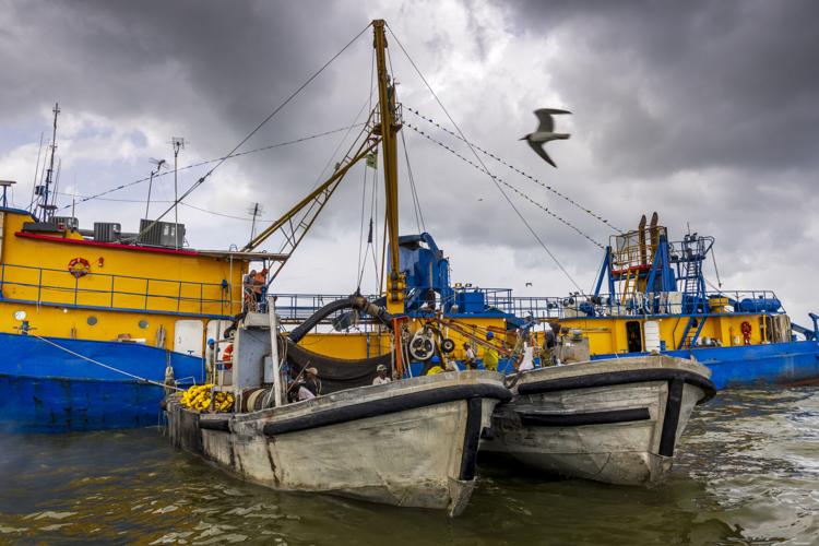 NO.menhaden.adv_1169.JPG