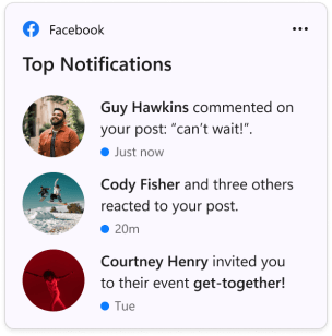 The Facebook widget.