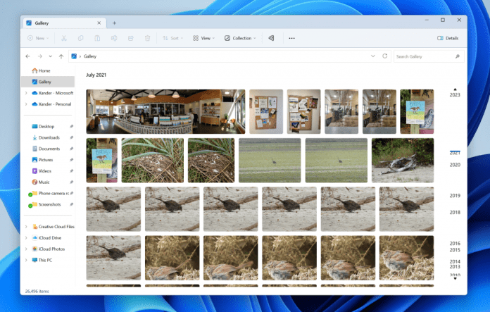 Gallery in File Explorer.